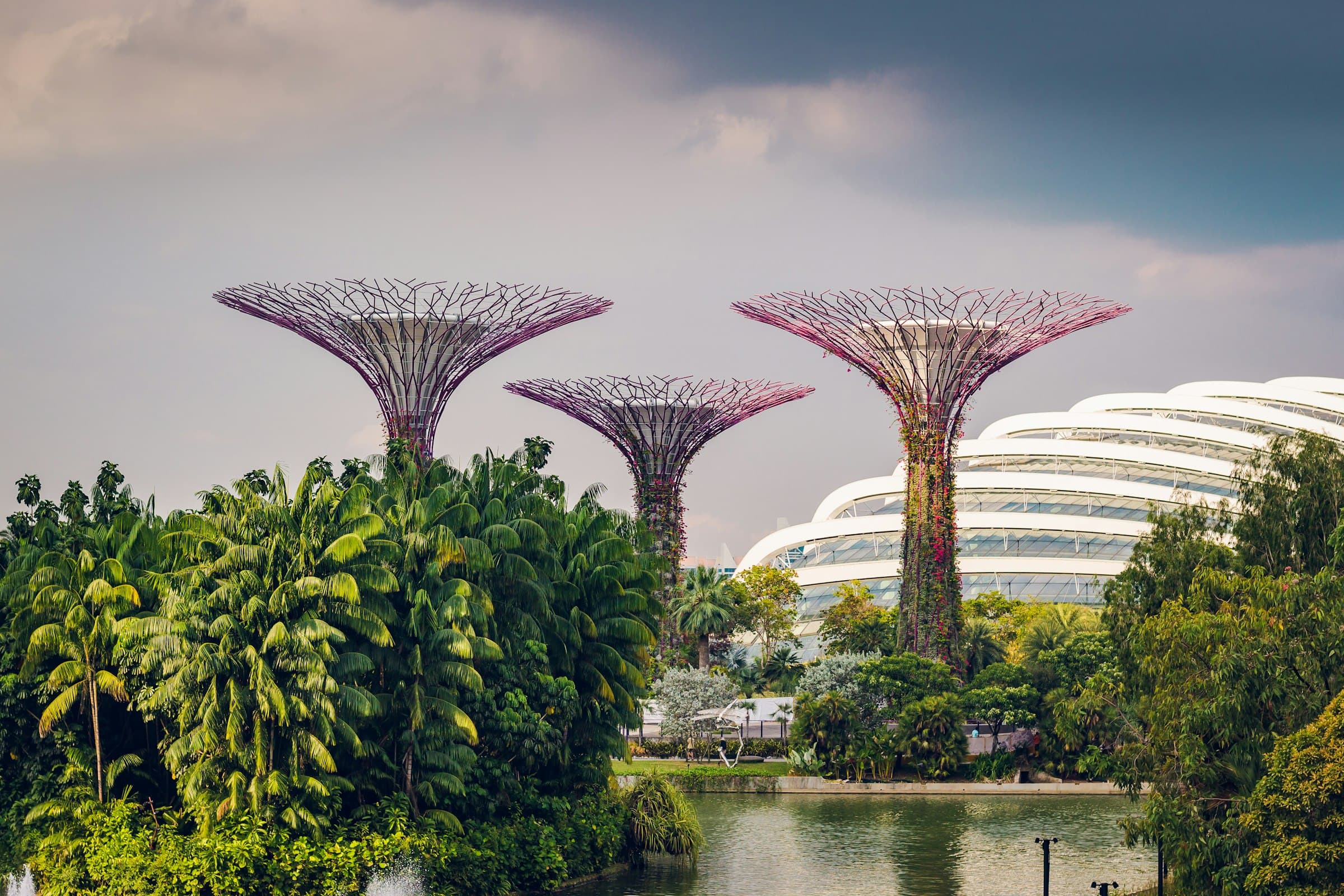 The Supertrees and a conservatory dome at Gardens by the Bay, Singapore