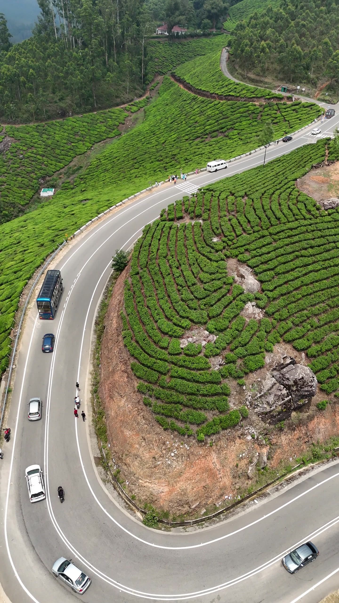 A hairpin road curving through tea plantations in Kerala