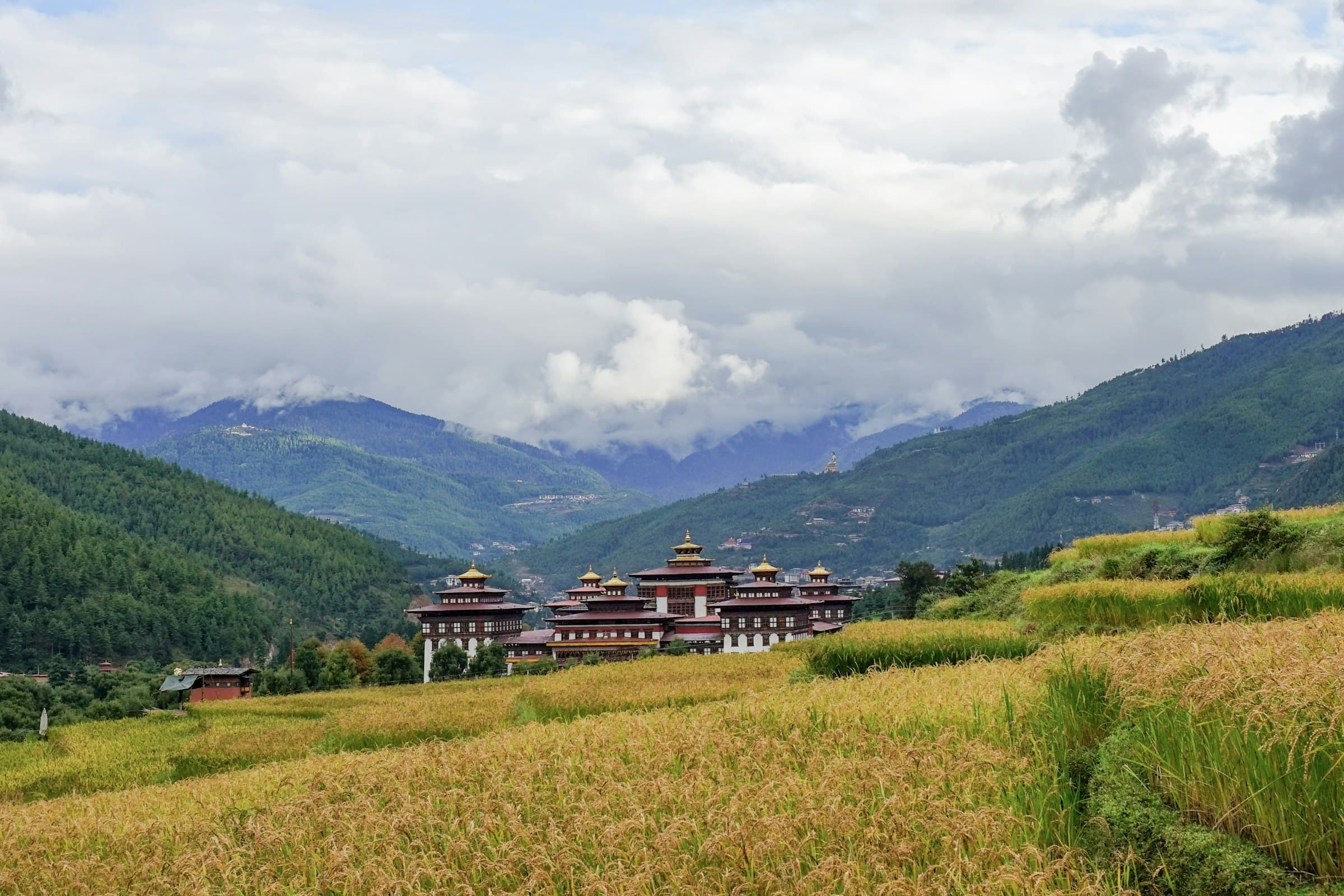 Tashichho Dzong among rice fields in Thimphu