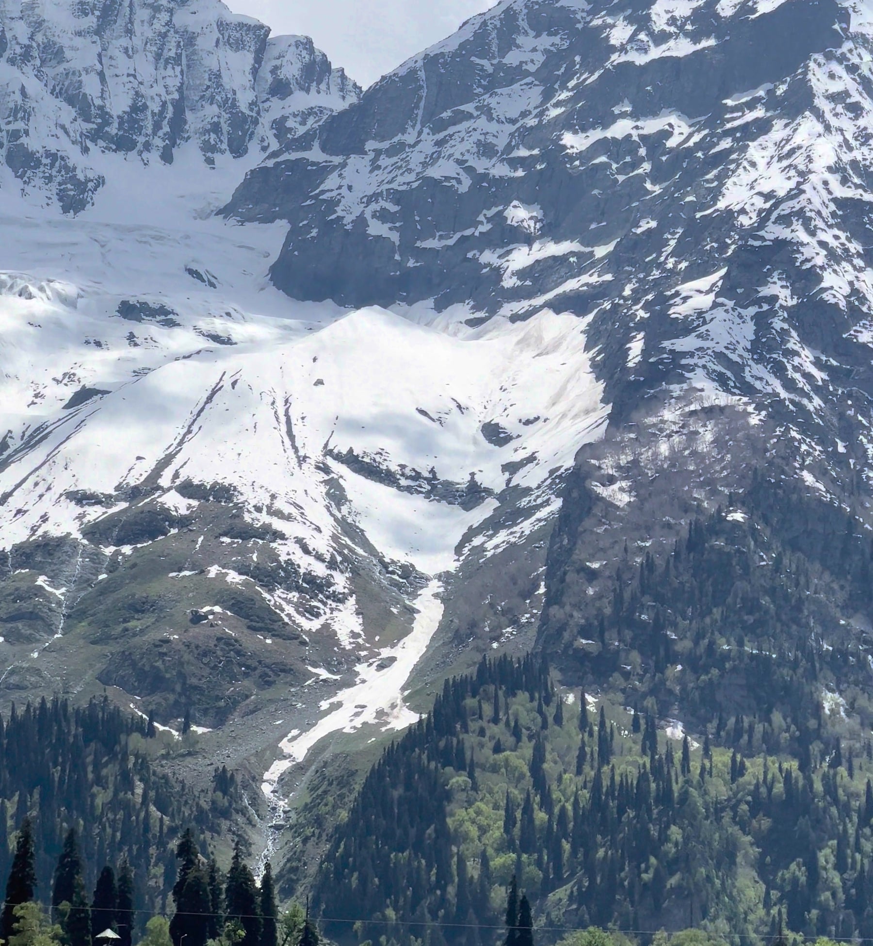 Snow-covered mountainsides above pine forest in Kashmir